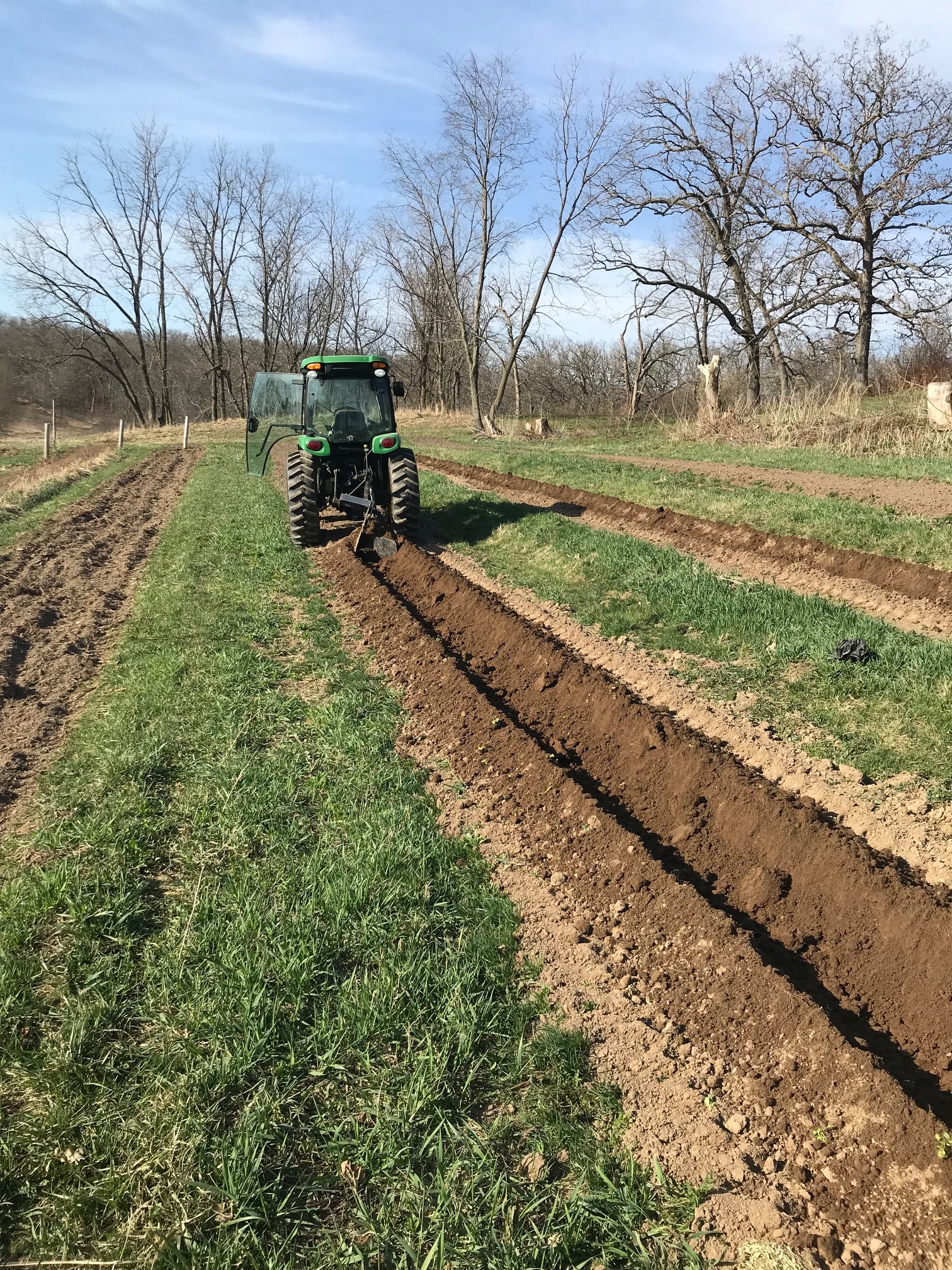 Plowing a furrow for planting. 