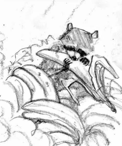 Bananas 