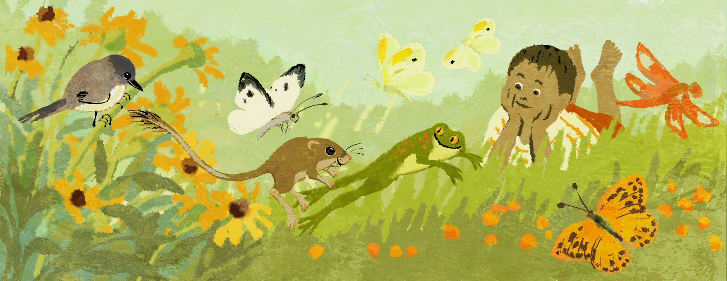 banner webILLUS.jpg