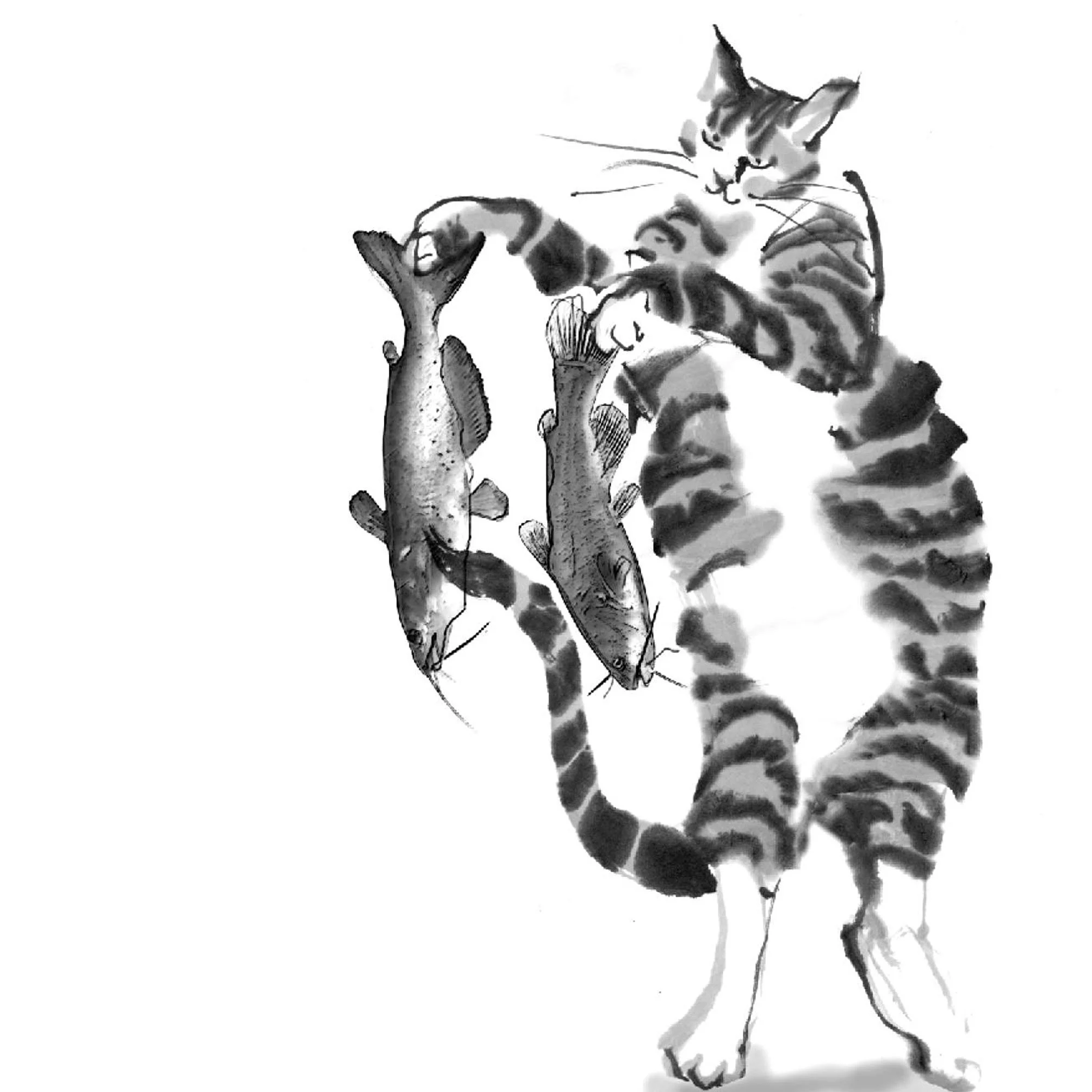 Which Fish