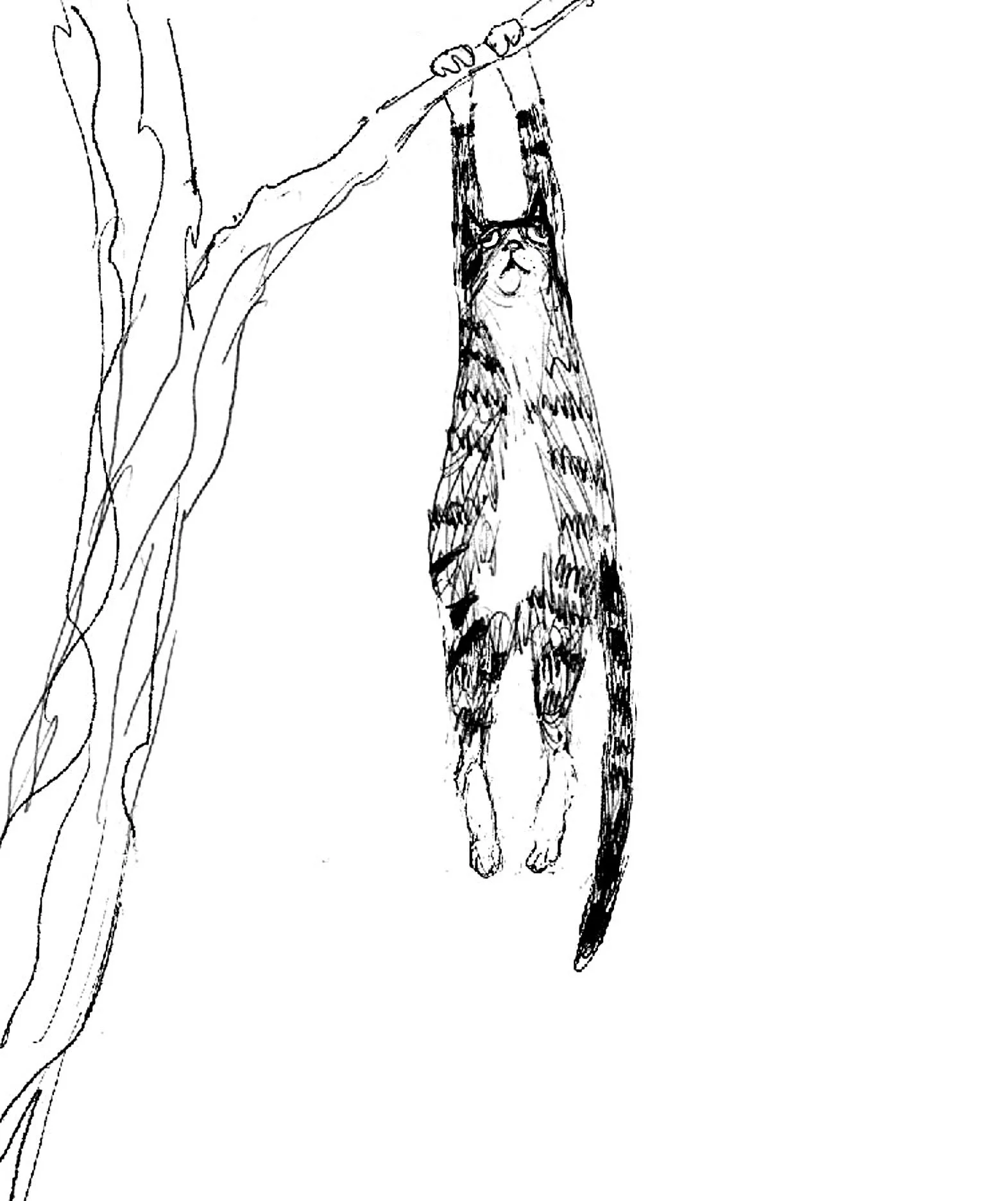 Just Hanging Out