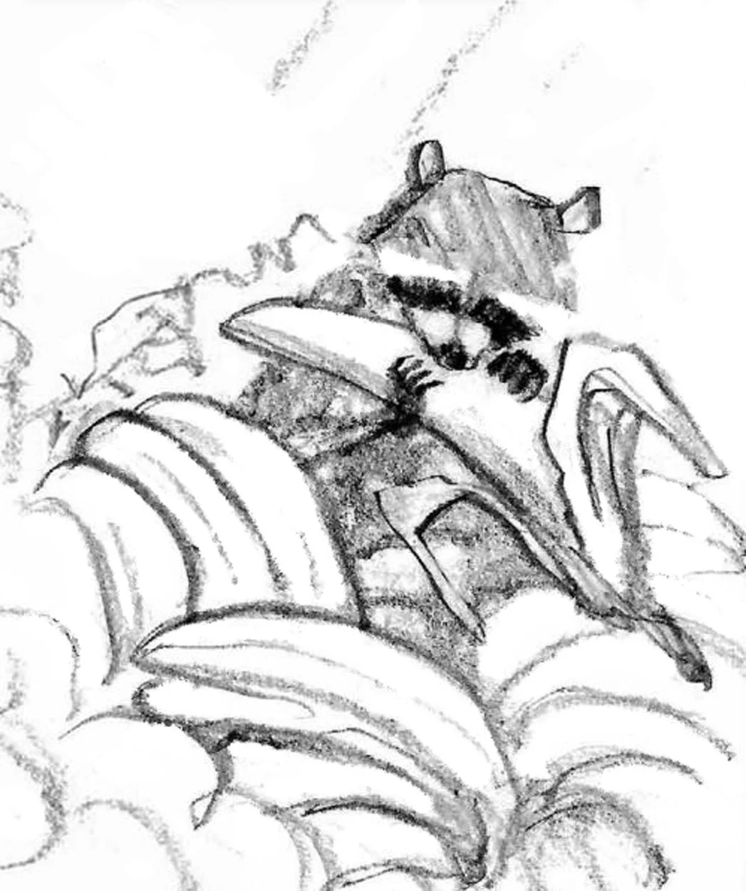 Bananas 