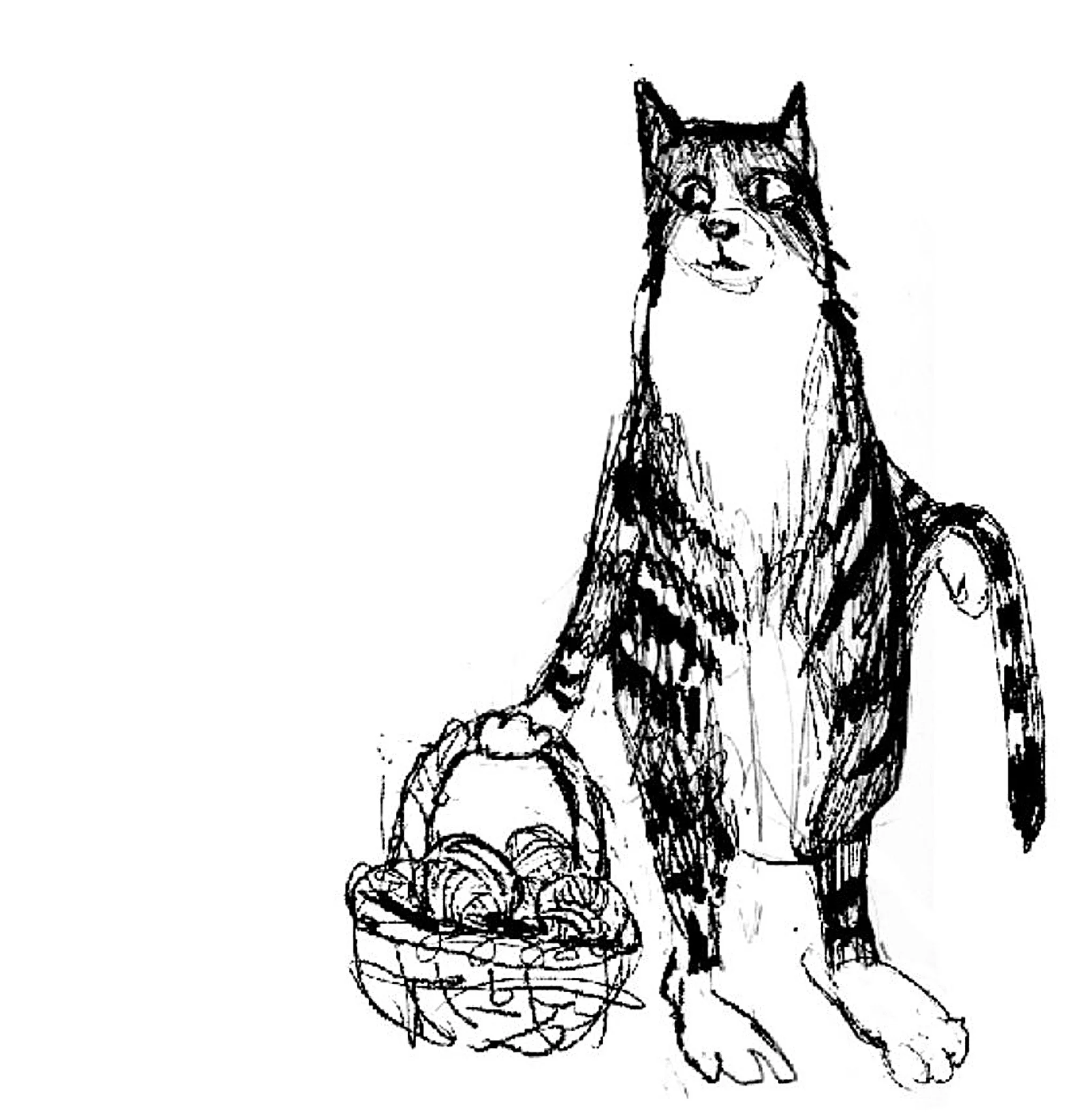 Tails and Yarns
