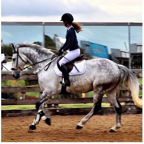 Need help navigating a chaotic warm up ring? 🐎Mind Body Horse offers breathing techniques that you can do while riding that will immediately reduce your competition jitters. 🙌🧘&zwj;♀️#ridewithmbh 📸of mbh rider @leilunaequestrian @leilanidowding