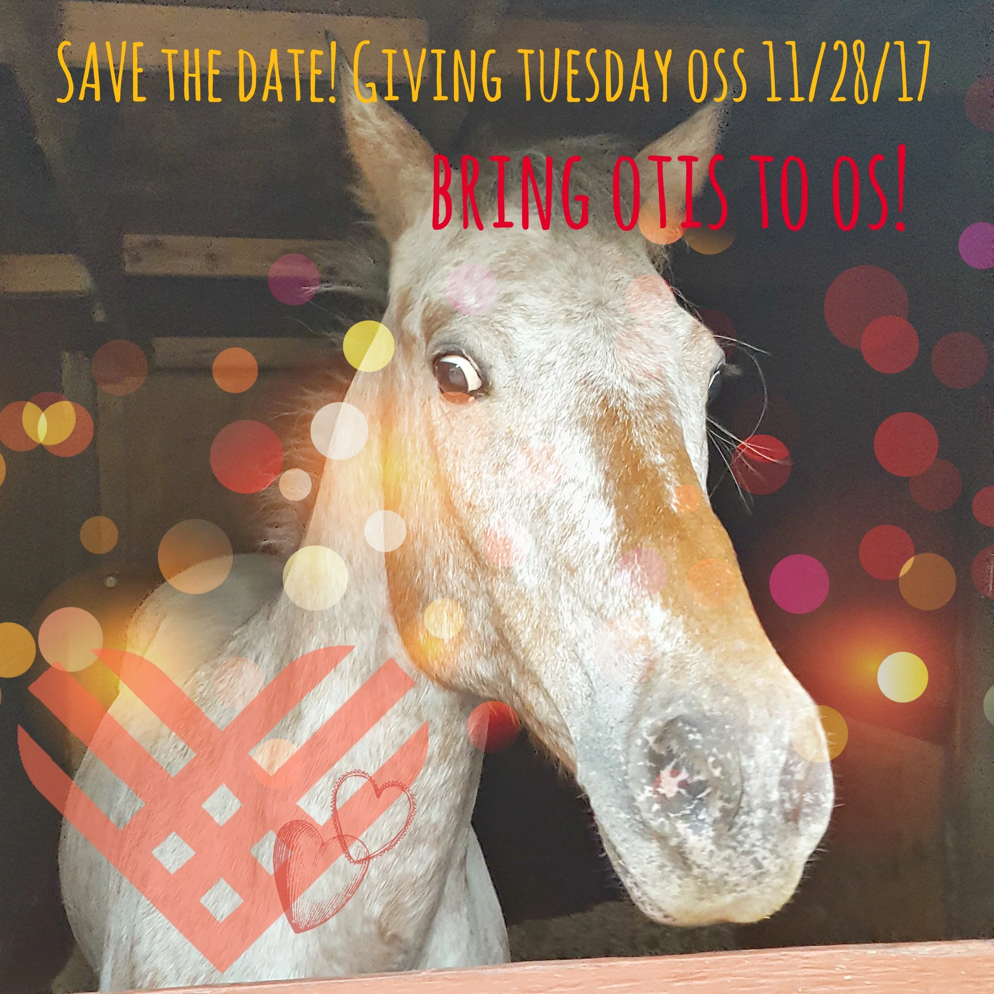 #Giving Tuesday OSS