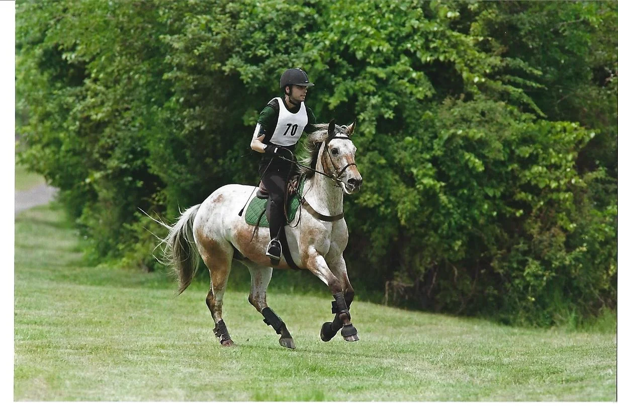 Of Horses and Waldorf Education by Jose Bosch