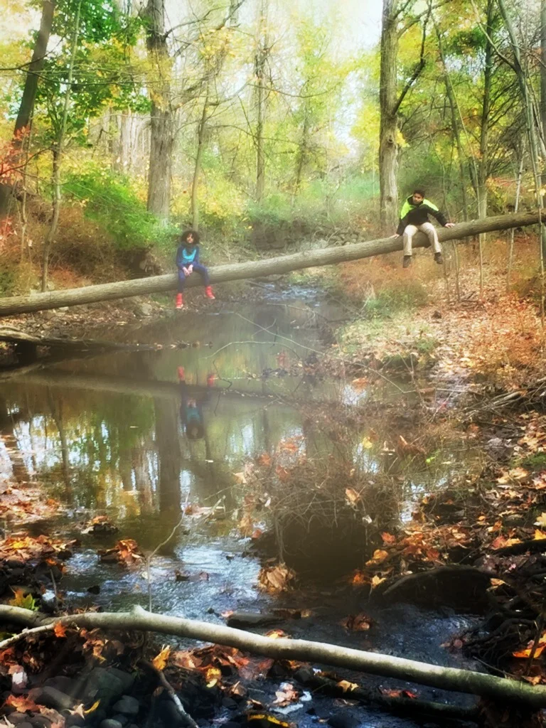 The Outdoor Classroom 