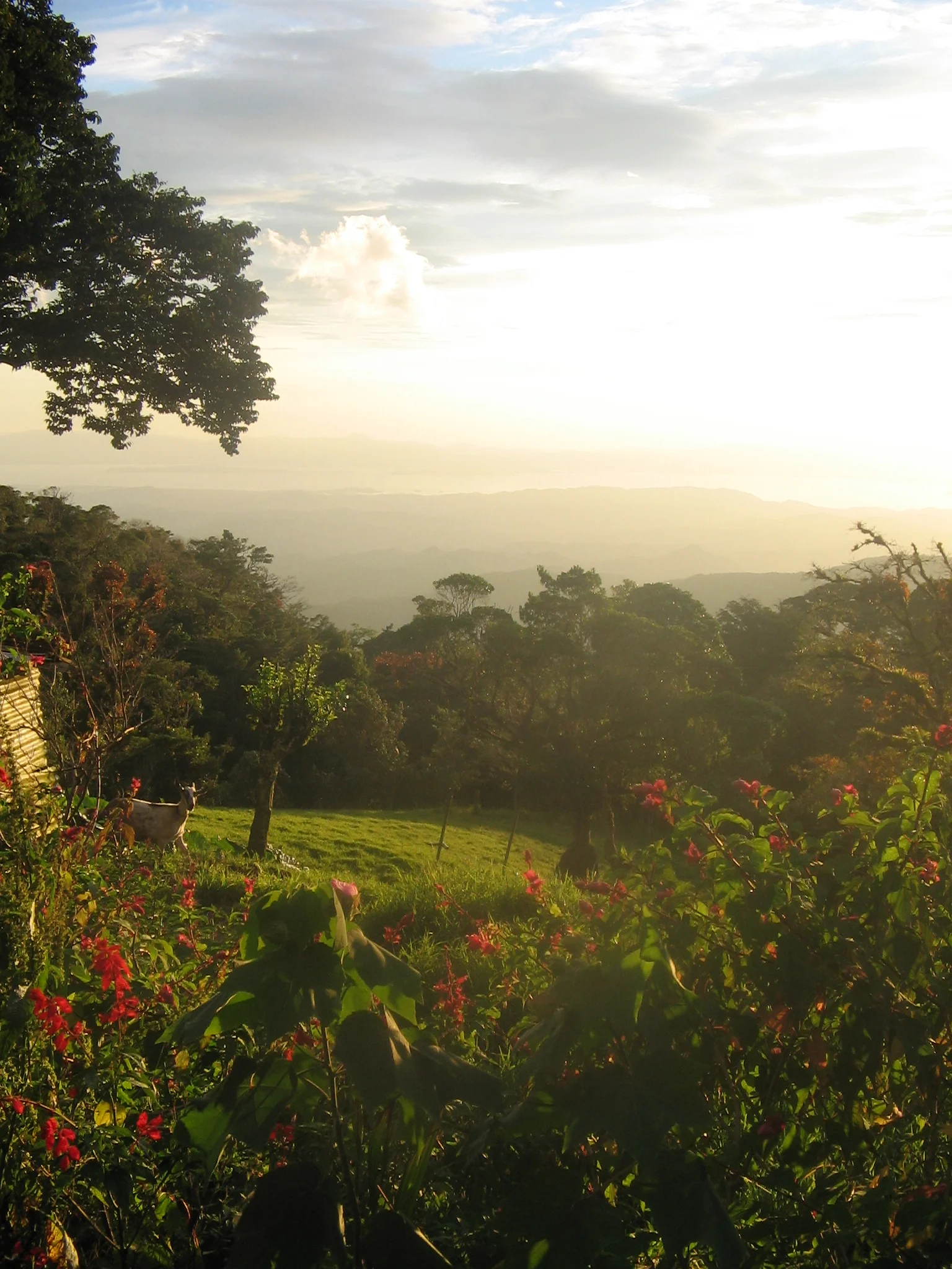 View from our home.jpg