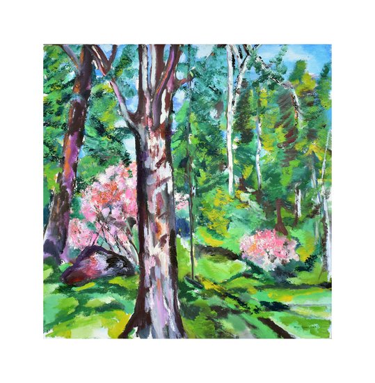 pink blossoms in the forest.jpg