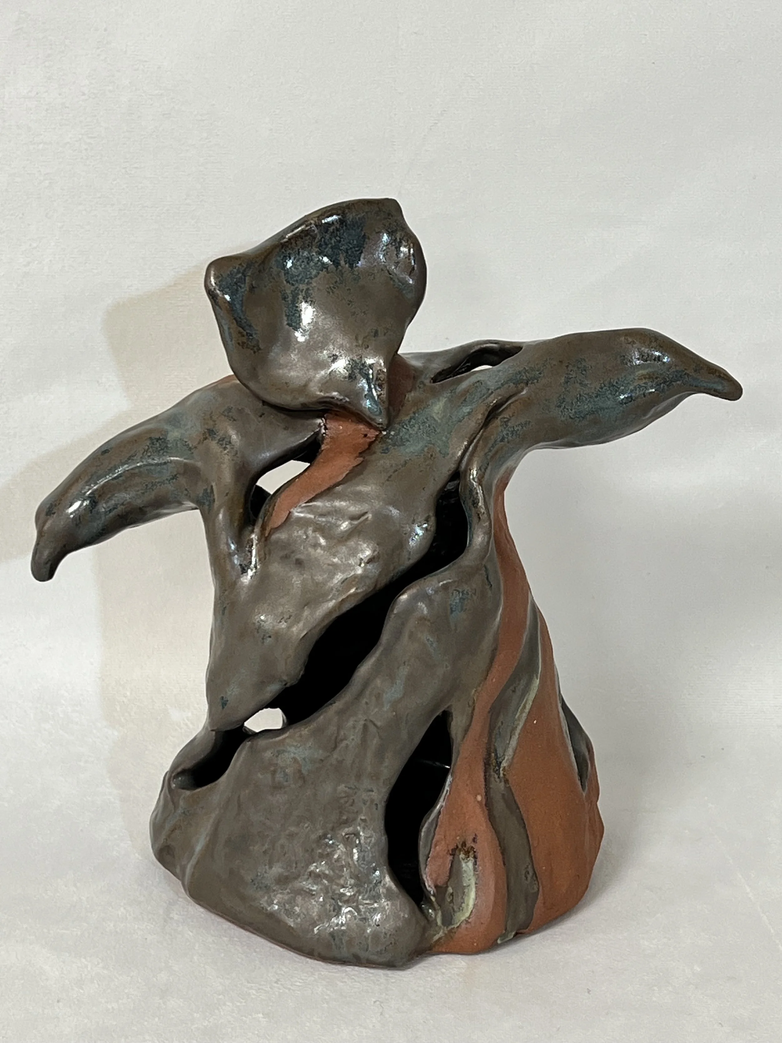 River Bed Raven.jpeg