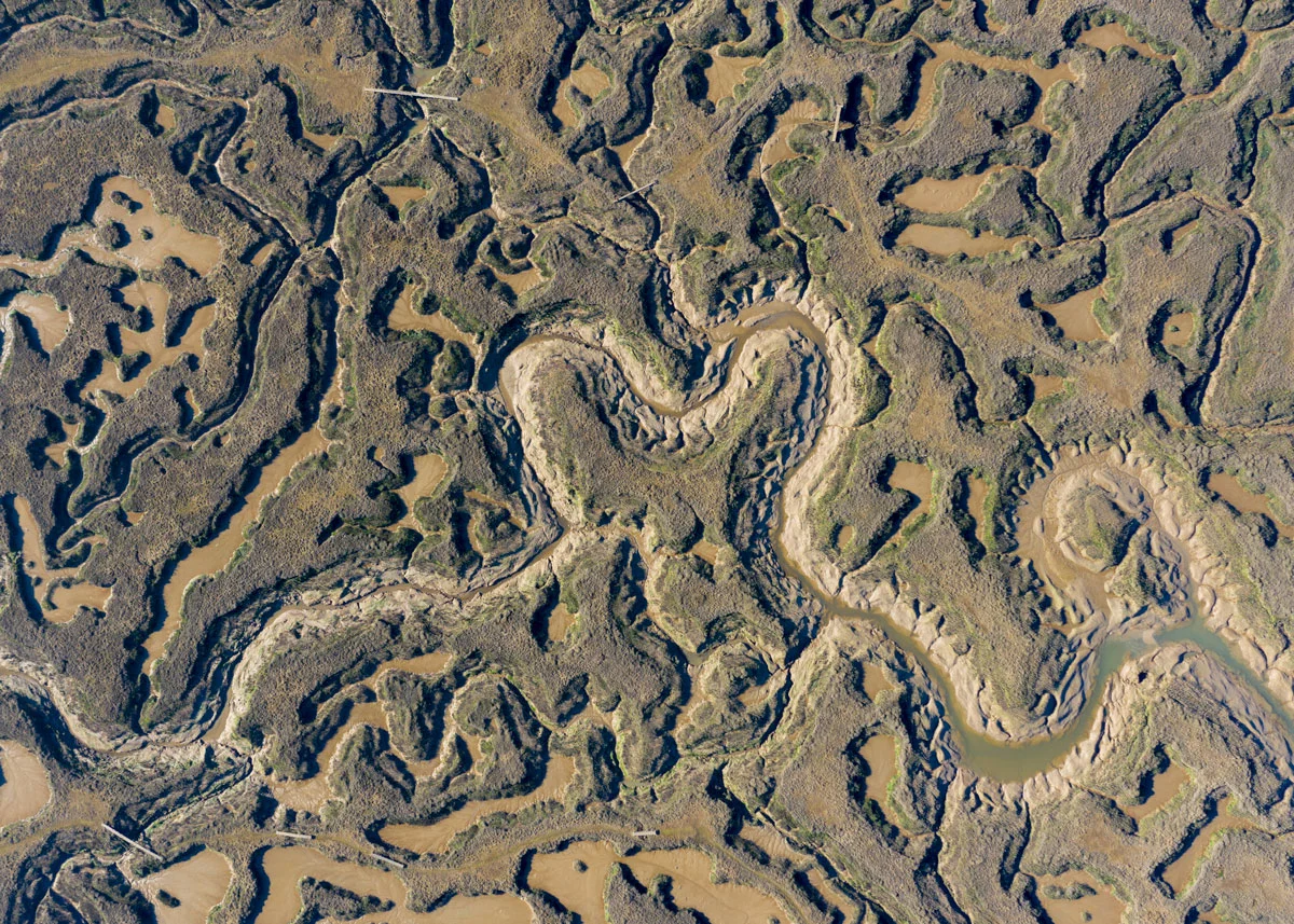 DJI_0011.jpg