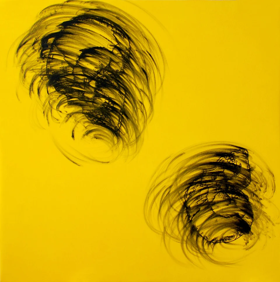 Spin Spinna (2008)
