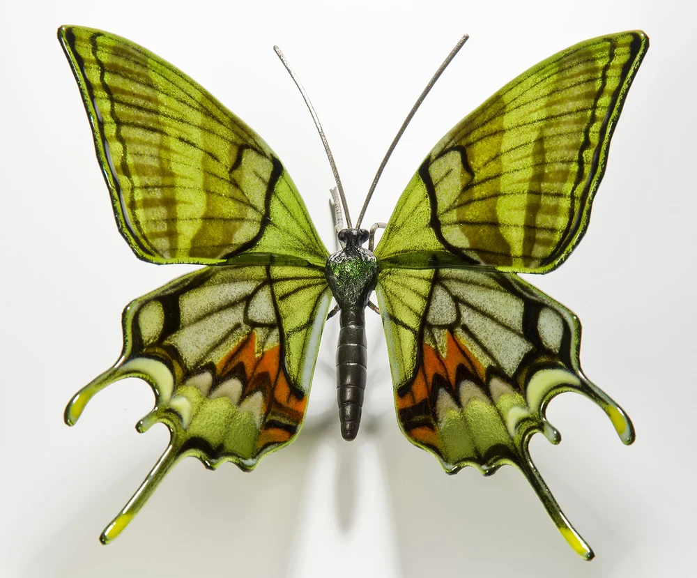 METAMORPHOSIS - The Sun in Gate 20 #HUMANDESIGN #TRANSITS #ASTROLOGY  #ICHING — Westcott Human Design