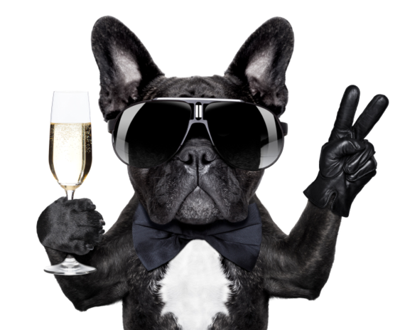 2016-02-27-1456613011-3480708-DogHuffPost-thumb.png