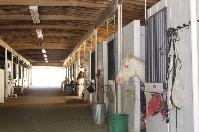 barn a and b.jpeg
