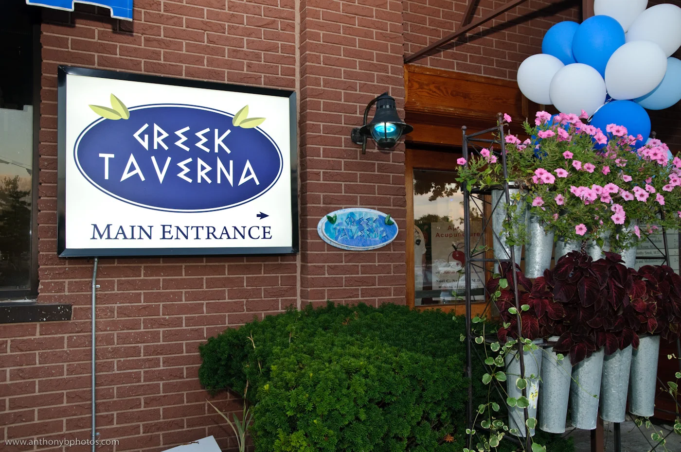 79-Greek-Taverna-Anniversary-Party-Event-Montclair-NJ.jpg