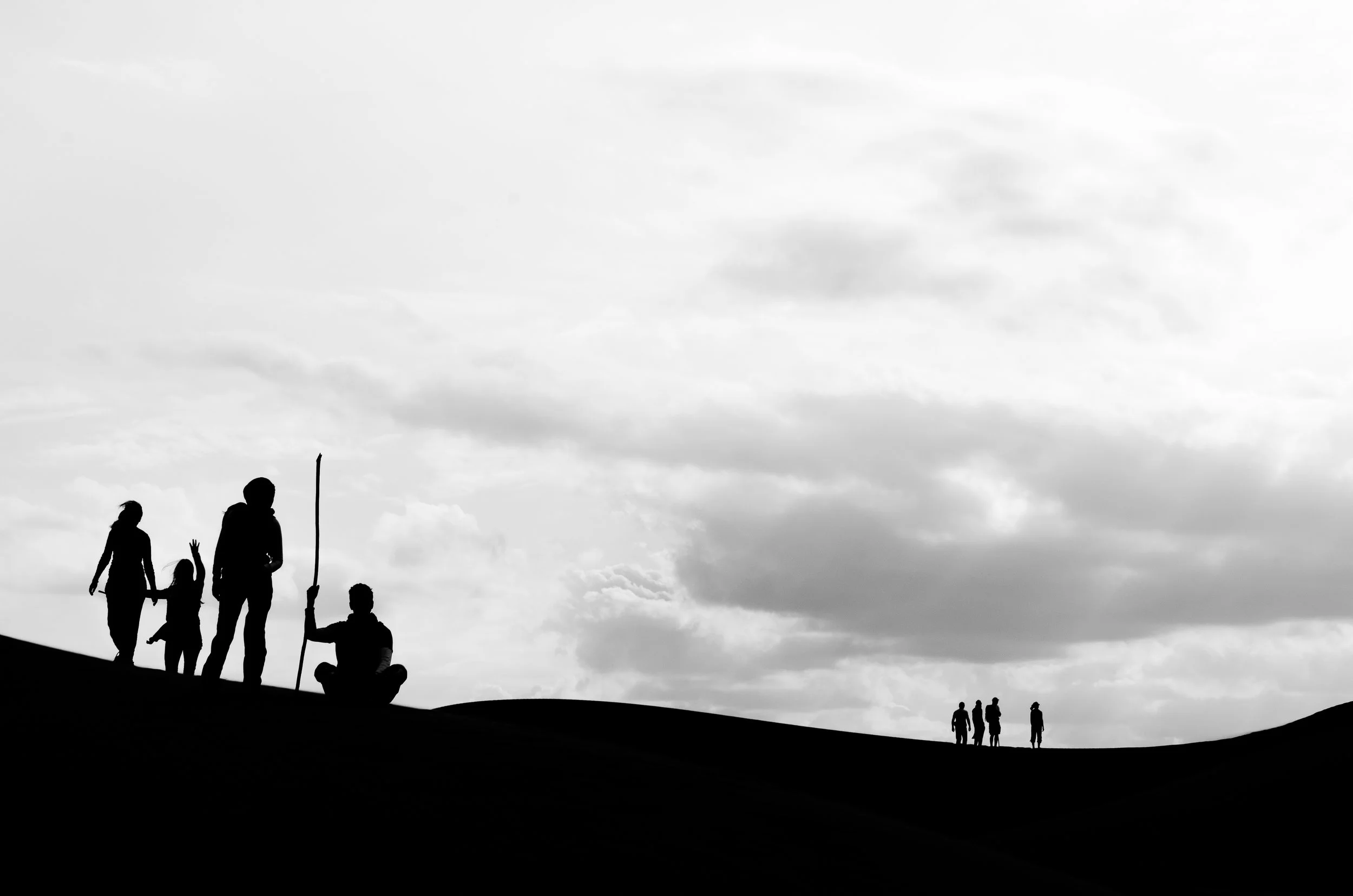 DSC_7395-2.jpg