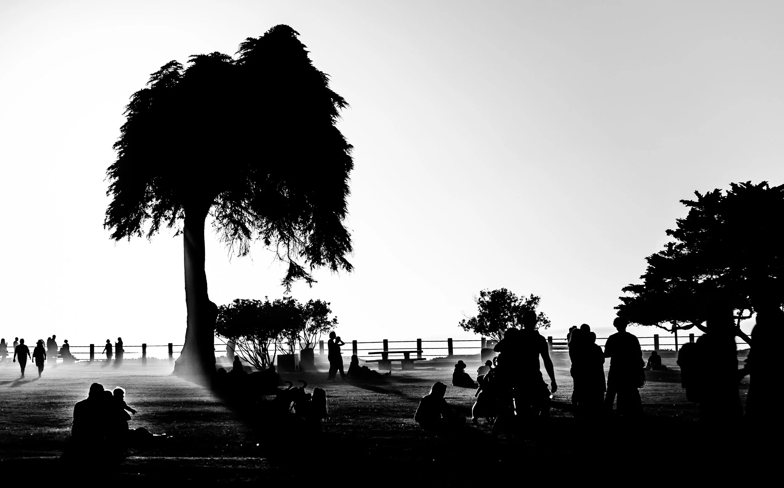 DSC_2080-2.jpg