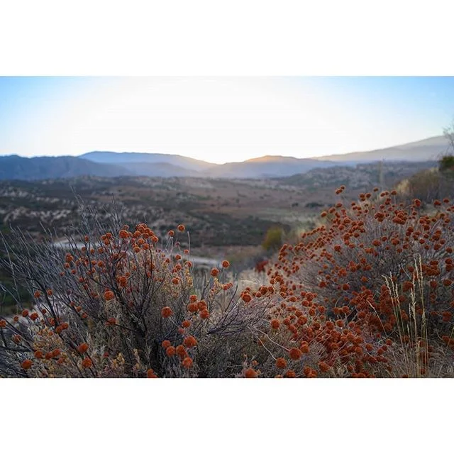 Sunset at camping ground close to Pyramid Lake.

#swipeleft ⬅️ #panorama #panoramic #sunset #California #pyramidlake #landscape #camping #hiking #landscapephotography #nature #mountains #Nikon #NikonZ6 #nikonusa #nikonnofilter #nikon2470