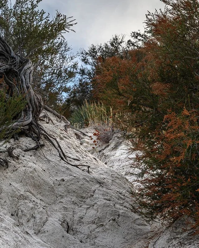 White sands near pyramid lake camping area.

#camping #white #red #landscape #landscapephotography #nature #naturephotography #Nikon #NikonZ6 #nikonusa #nikonnofilter #photography