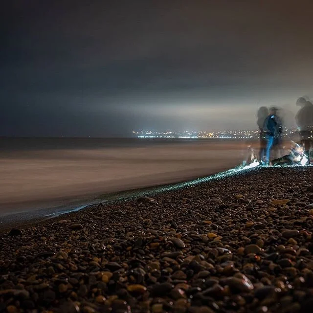 #Bioluminescent in #orangecounty was beautiful to watch and I hear is was even better in San Diego!