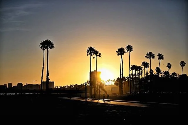 Sunset at Long Beach. 
My laptop broke so edited the thumbnail on phone until my new laptop is delivered 😅

#longbeach #sunset #silhouette #NikonZ6 #snapseed