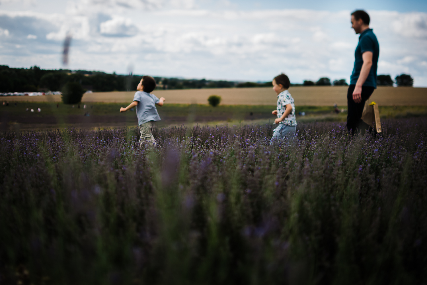 Family storytelling photography at Hitchin Lavender Farm
