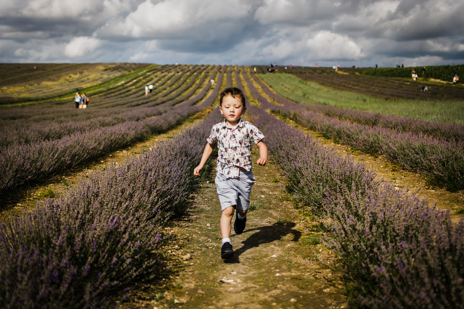 Boy running down the lavender rows