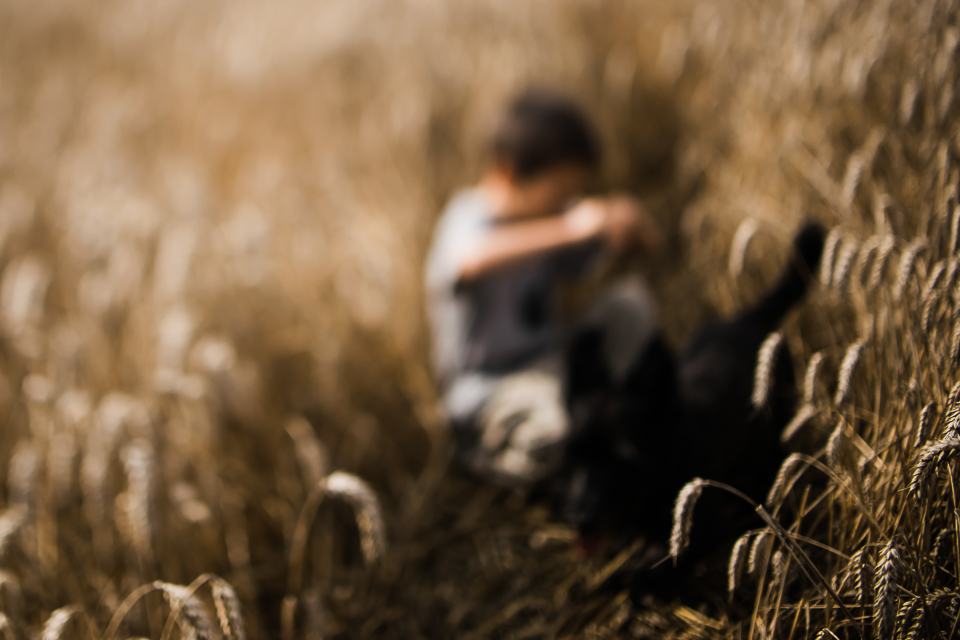 Diana Hagues Photography Freelensing summer adventures -  In the wheat.jpg