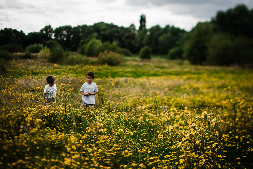 Diana Hagues Photography Freelensing summer adventures -  flower meadow.jpg