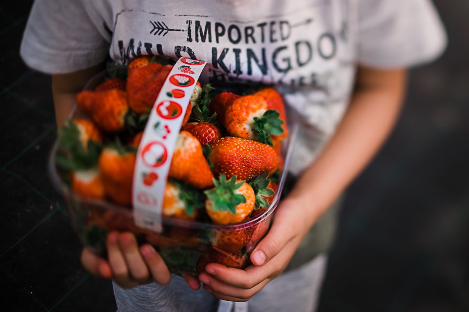 Diana Hagues Photography Freelensing summer adventures -  strawberry picking.jpg