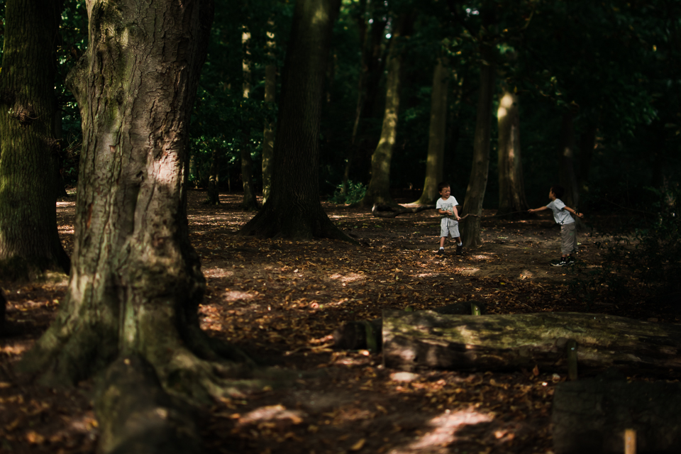 Diana Hagues Photography Freelensing summer adventures -  woodland shade.jpg