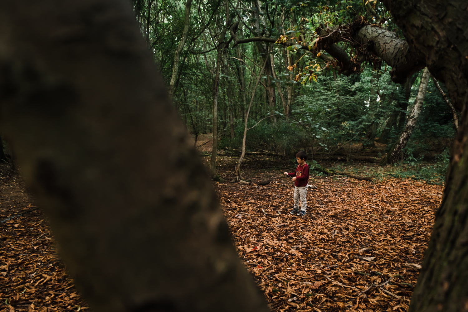 Family Photography - Cambridge - My 52 - September-2.jpg