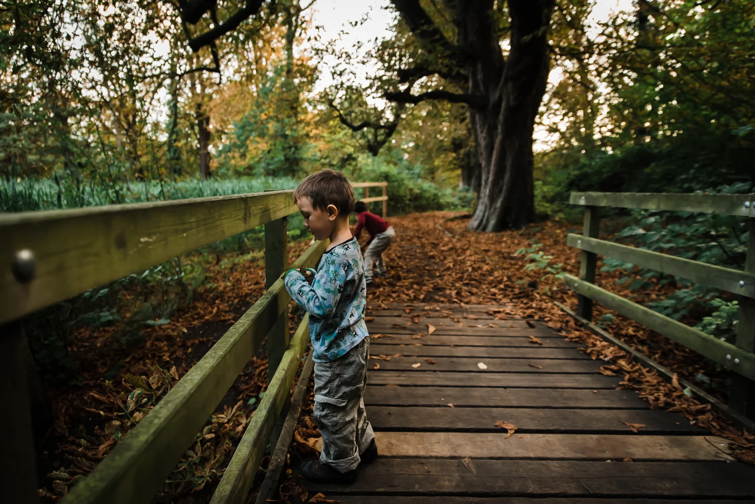Family Photography - Cambridge - My 52 - September-6.jpg