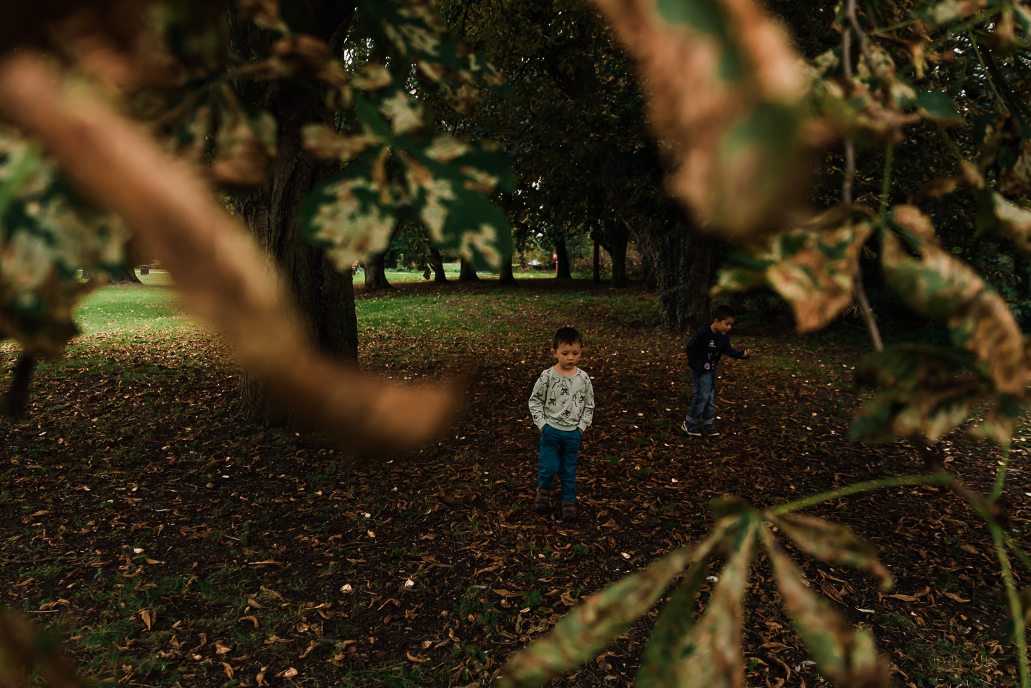 Family Photography - Cambridge - My 52 - September-12.jpg