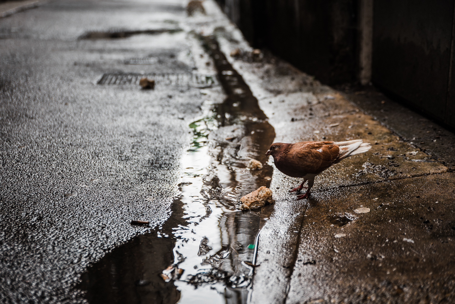 Cambridge street photography-19.jpg