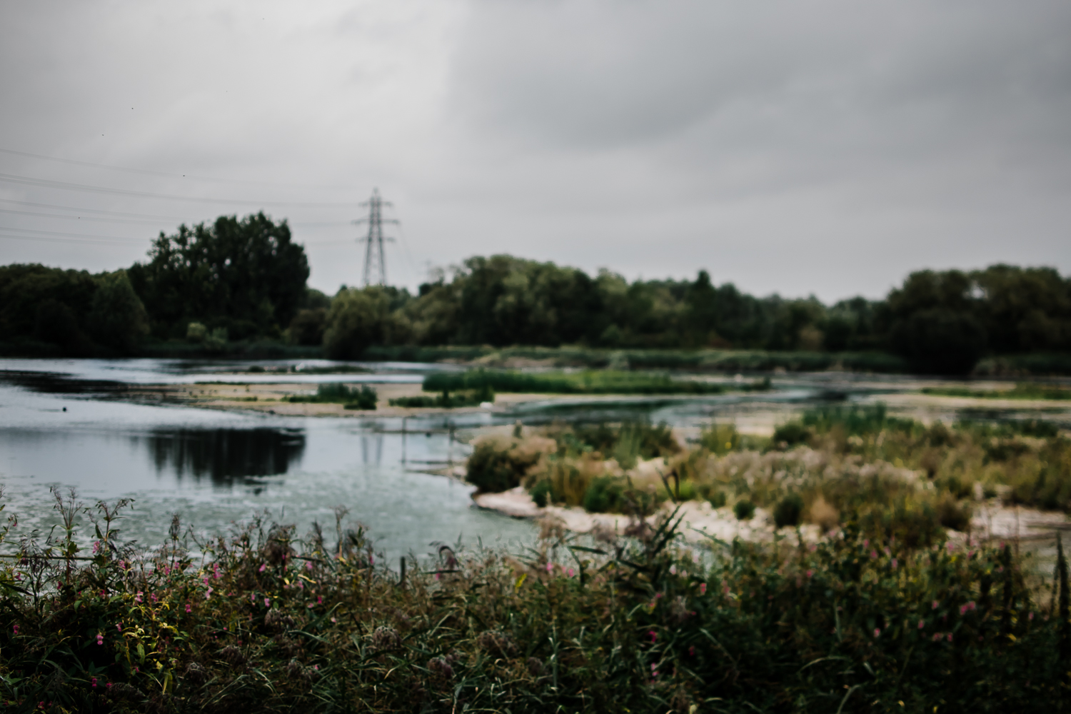 Freelensing - Free 52 project - Sept Oct 17 - Diana Hagues Photography-11.jpg