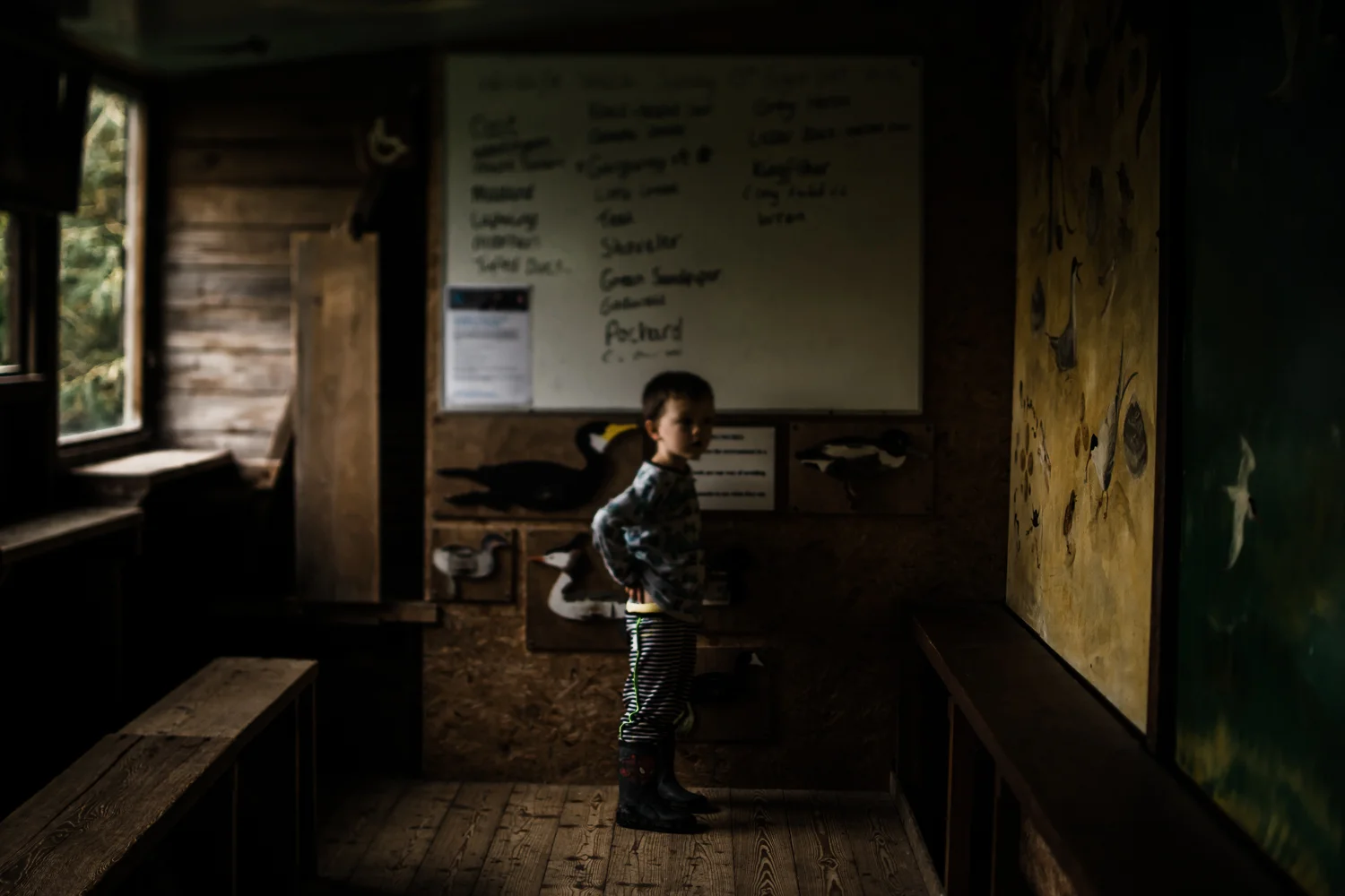 Freelensing - Free 52 project - Sept Oct 17 - Diana Hagues Photography-12.jpg
