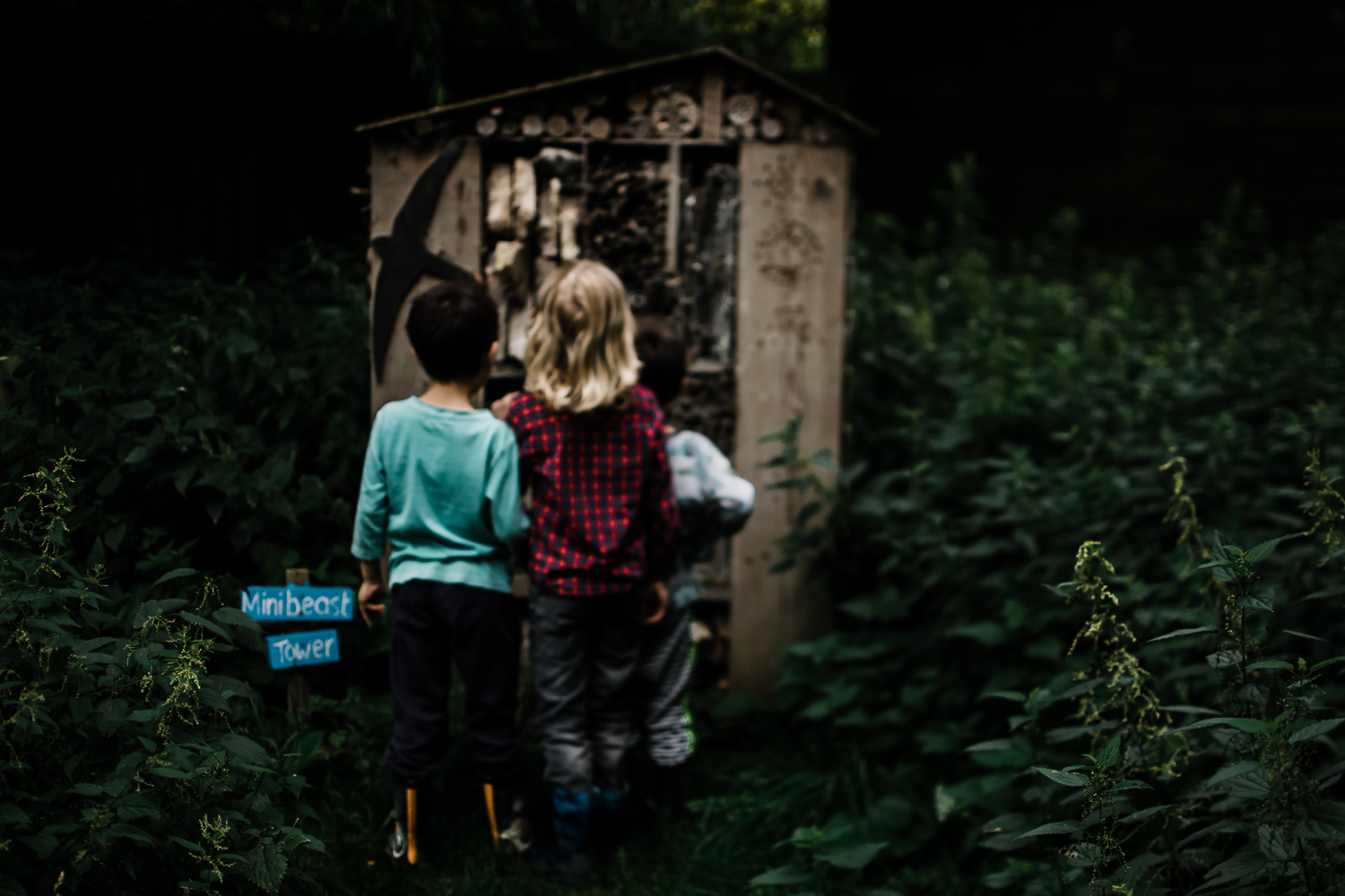 Freelensing - Free 52 project - Sept Oct 17 - Diana Hagues Photography-10.jpg