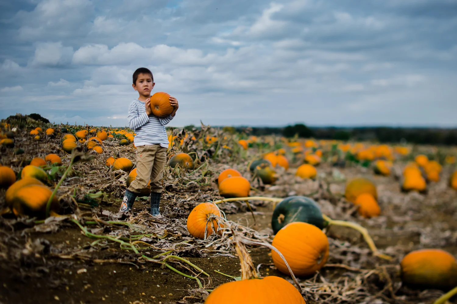 Freelensing - Free 52 project - Sept Oct 17 - Diana Hagues Photography-8.jpg