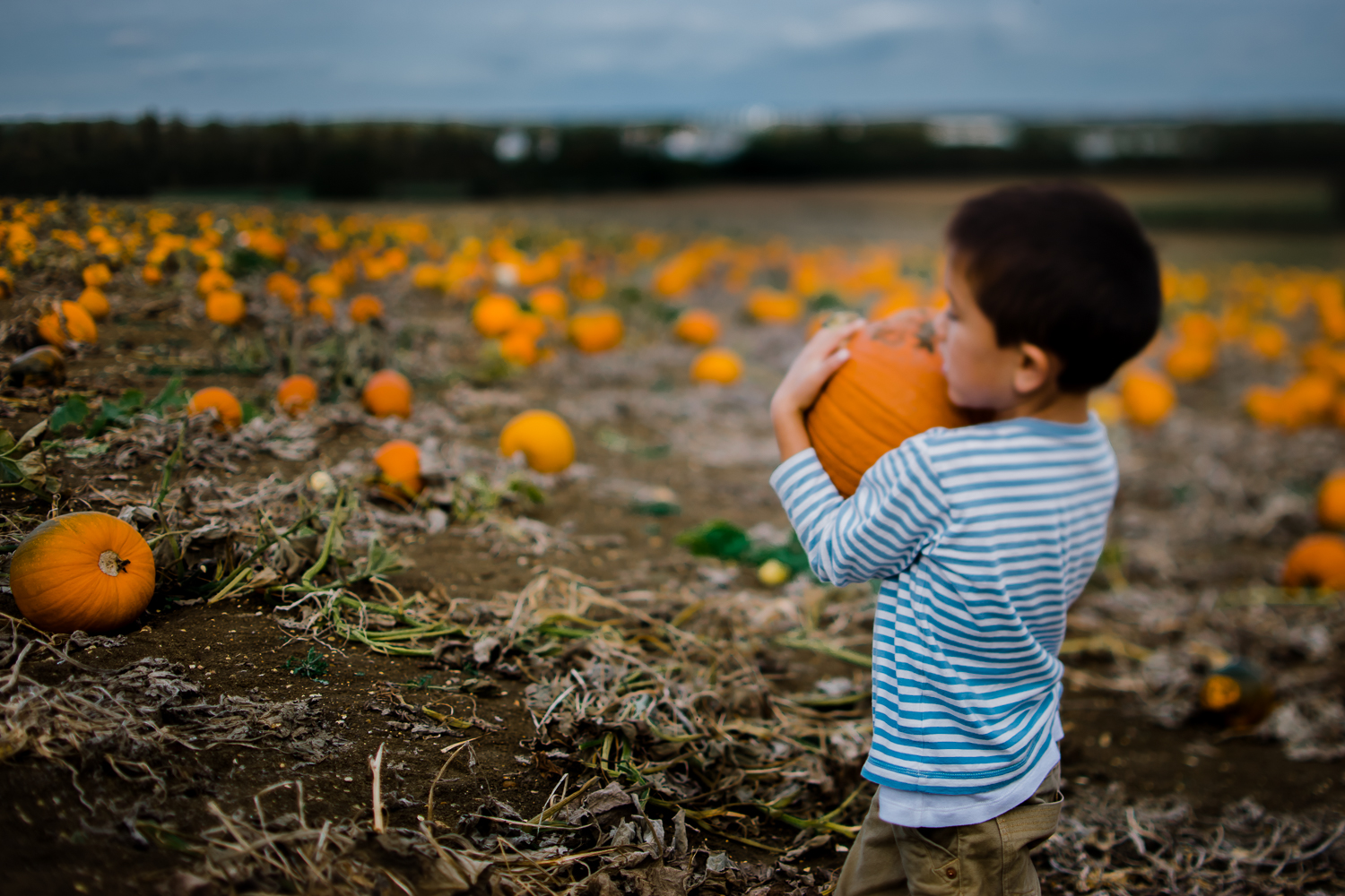 Freelensing - Free 52 project - Sept Oct 17 - Diana Hagues Photography-7.jpg
