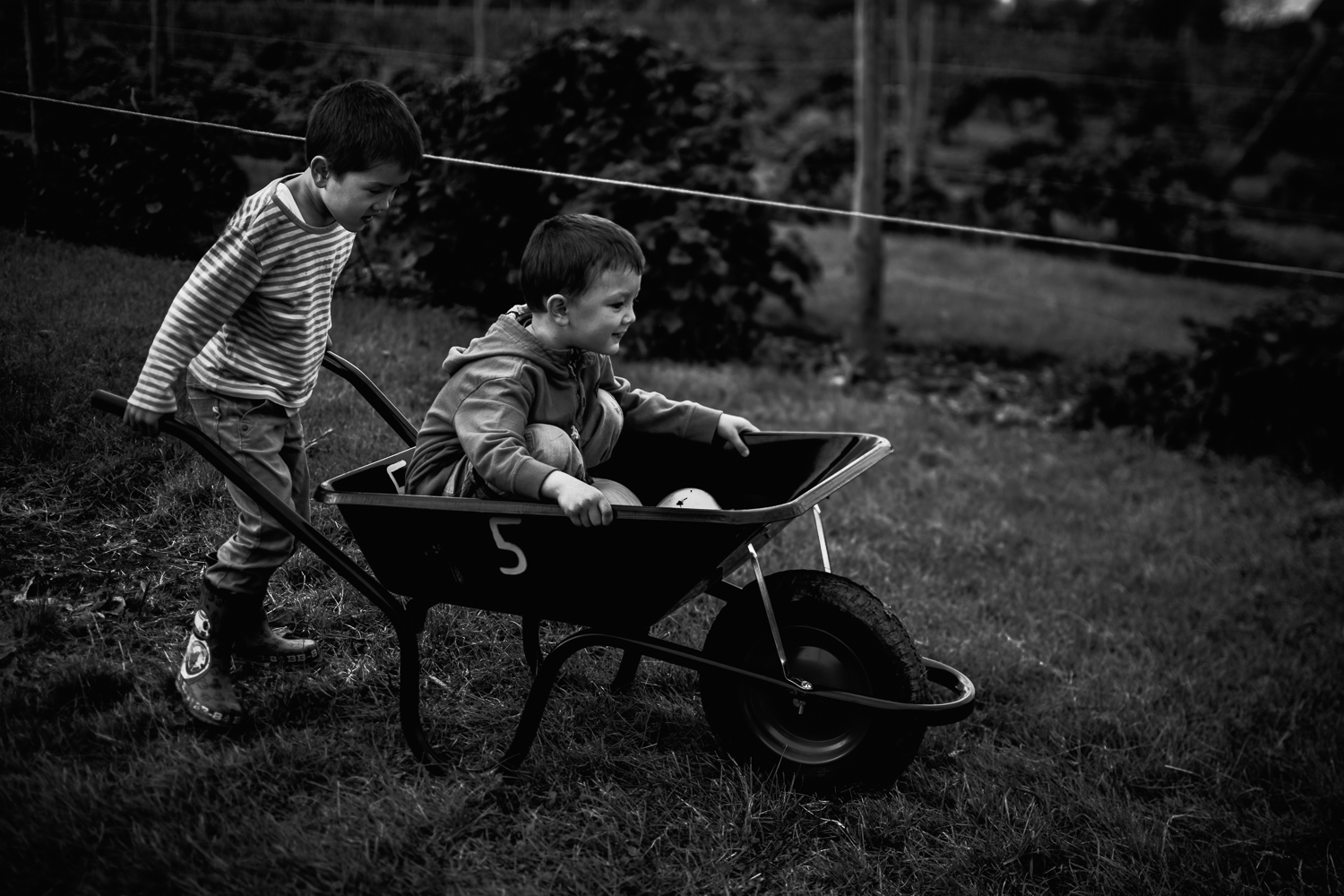 Freelensing - Free 52 project - Sept Oct 17 - Diana Hagues Photography-9.jpg