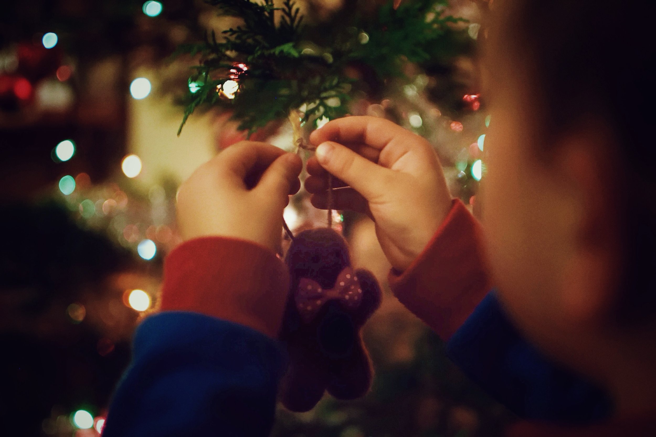 Christmas (UN)wrapped | Storytelling and Documentary Photography in Cambridgeshire, Suffolk and Norfolk