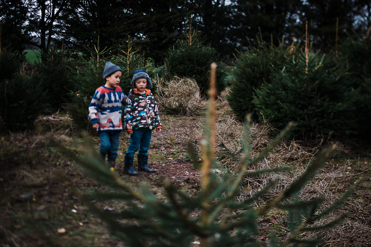 Family storytelling photography at Christmas - Documentary Photographer Diana Hagues
