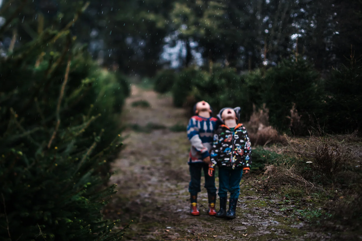 The raincatchers - Diana Hagues Photography
