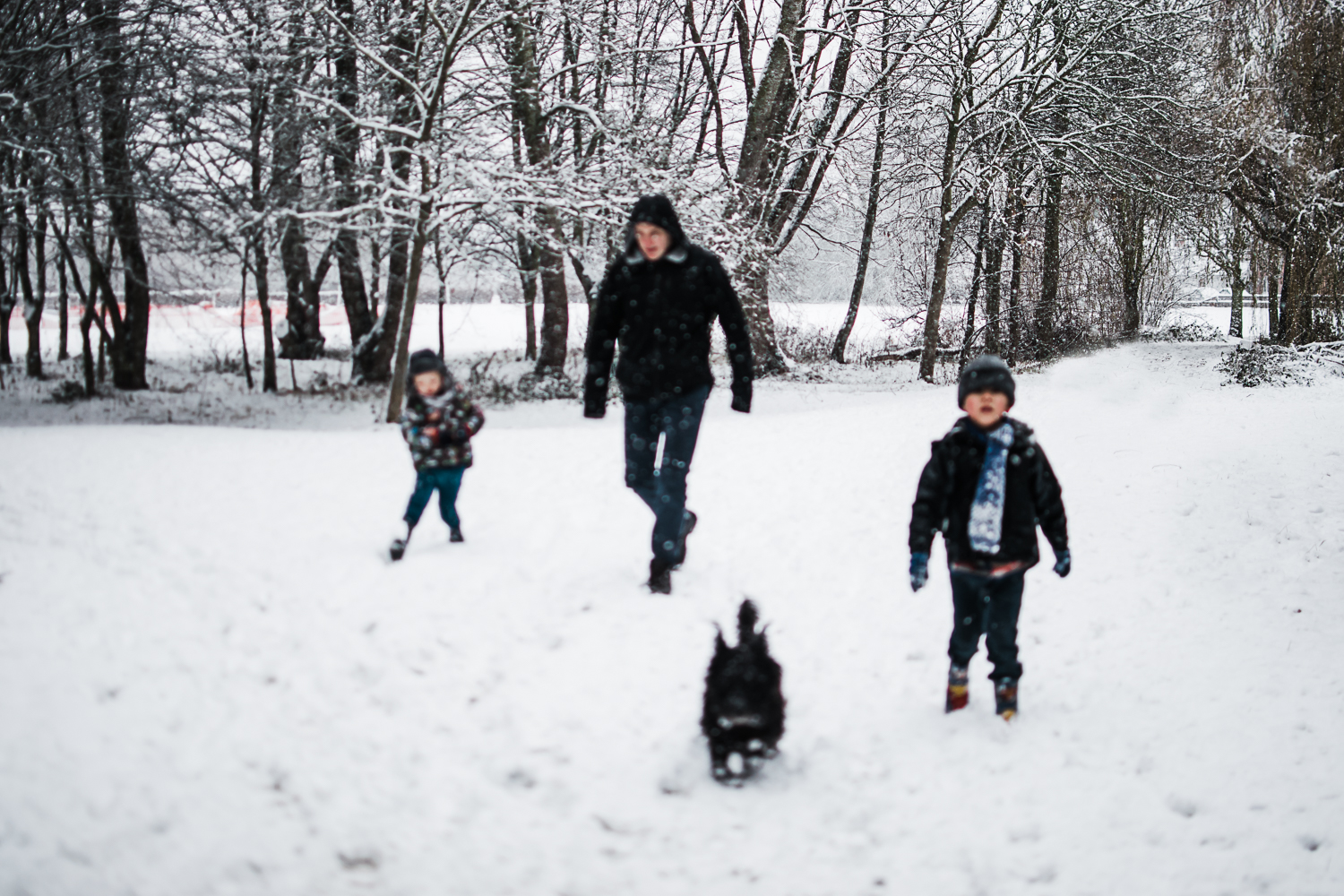 Winter walk - Freelensing by Diana Hagues Photography