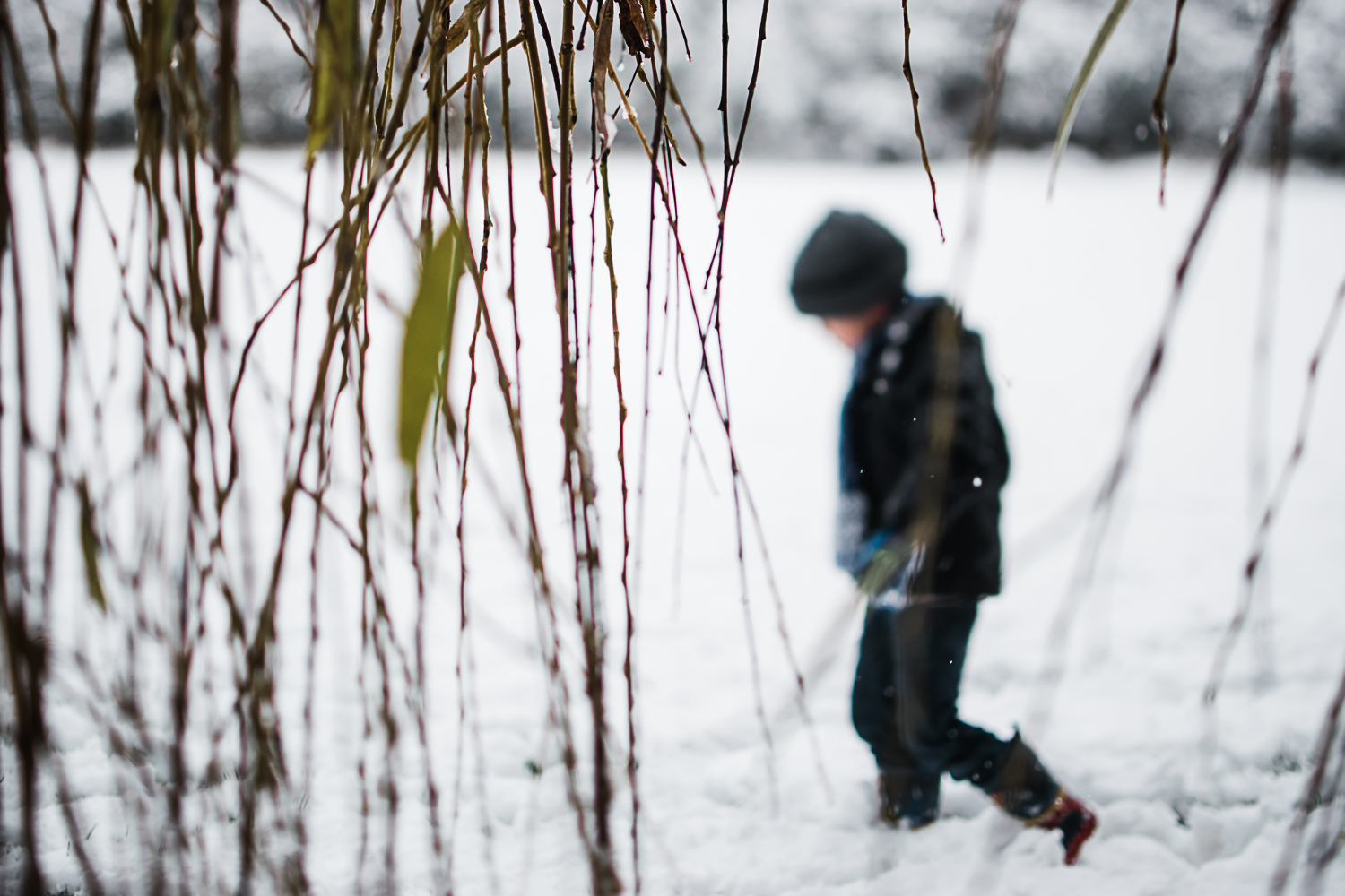 Looking through the willow branches - beautiful winter family photoshoot