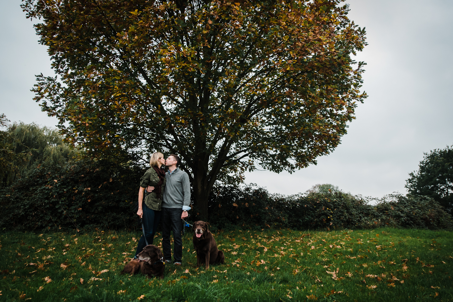 Couple in love kissing under tree with dogs and autumn colours 