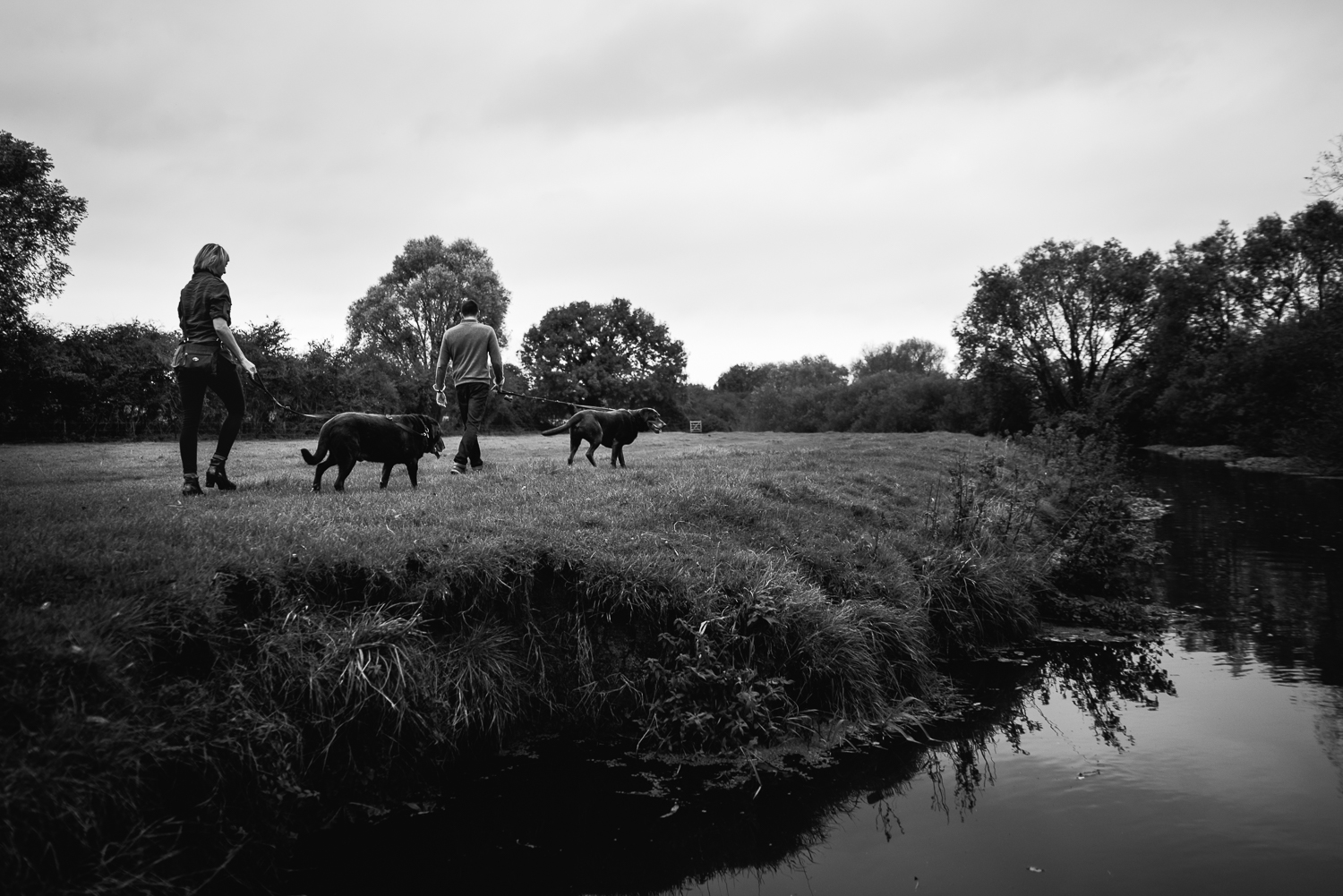  Dog walking by the River Cam Grantchester 