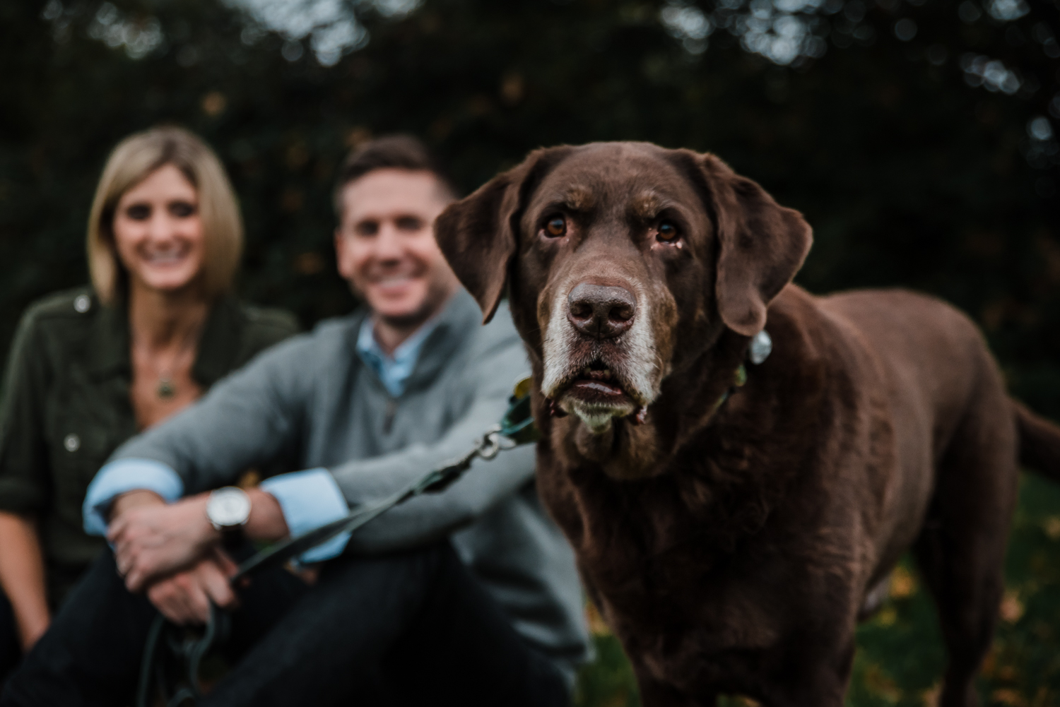  Family dog during a photoshoot 